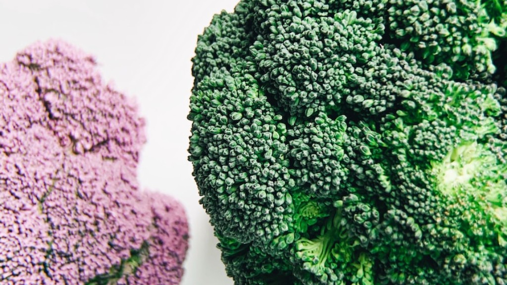 Bolehkah Iguana Makan Brokoli