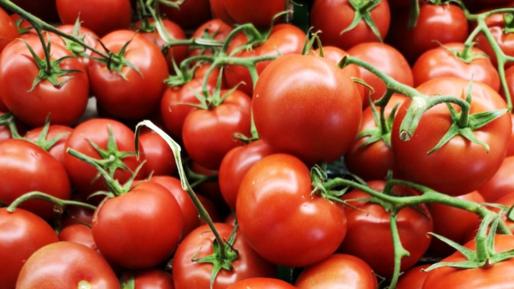 Berapa Lama Anda Rebus Tomato Untuk Pengetinan