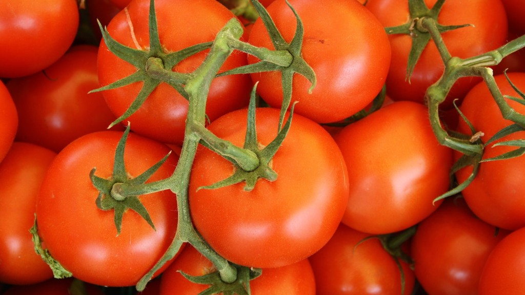Berapa Lama Anda Boleh Menyimpan Tomato Segar Di Dalam Peti Sejuk